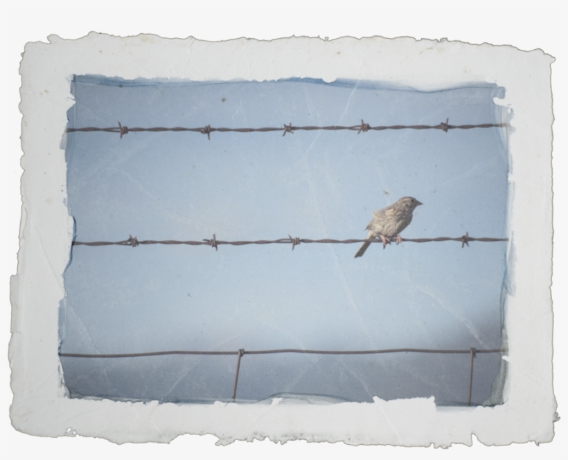 Repapel Iddi Fathom-7, transparent png download
