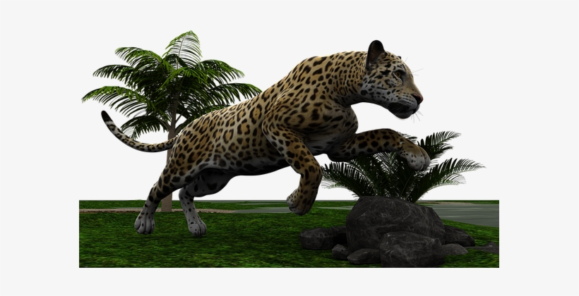 Jaguar Big Cat Wildcat Predator Dangerous - Jaguar, transparent png download