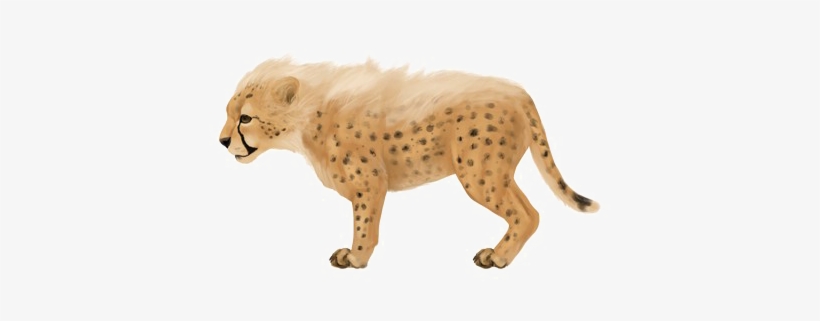 Baby Jaguar Png Image - Baby Jaguar Png, transparent png download