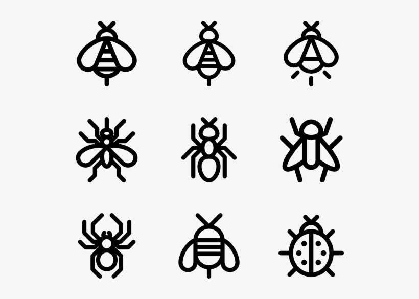 Insects - Insect Icon, transparent png download