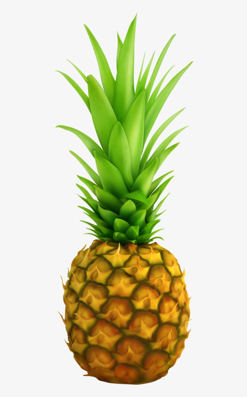 Clipart Fruit Painting, Fabric Painting, Food Clipart, - 4 Fruits, transparent png download