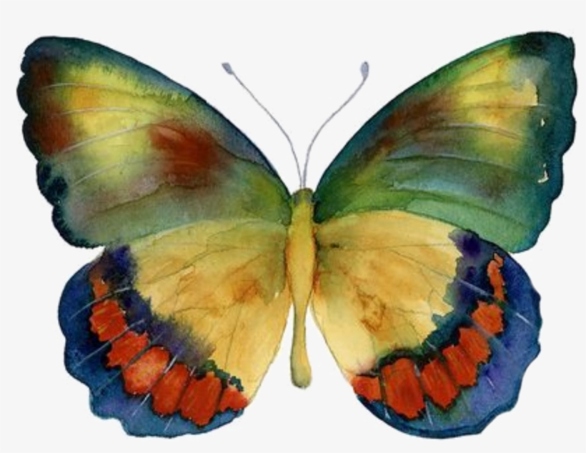 Picmonkey's Photo Editor - Bagoe Painting Print On Wrapped Canvas World Menagerie, transparent png download