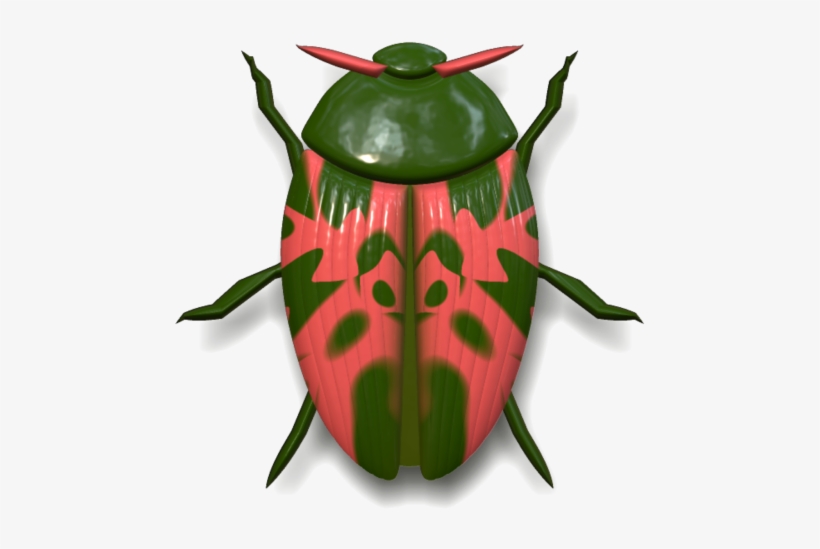 Ladybird Beetle, transparent png download