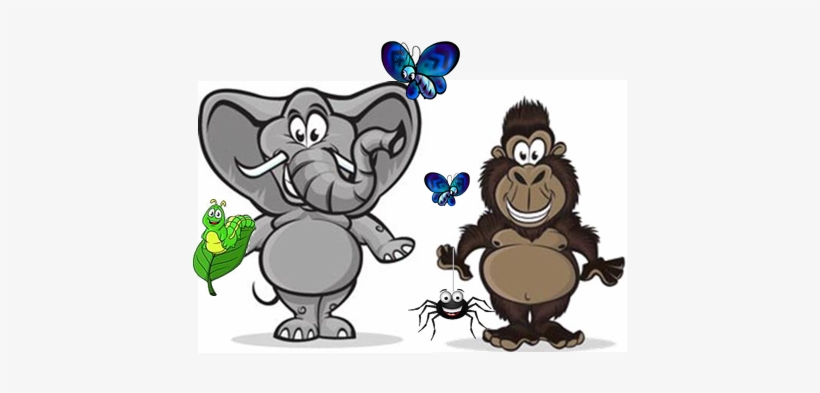 Animal And Insect Pic - Rainforest Cartoon Animals Drawings, transparent png download