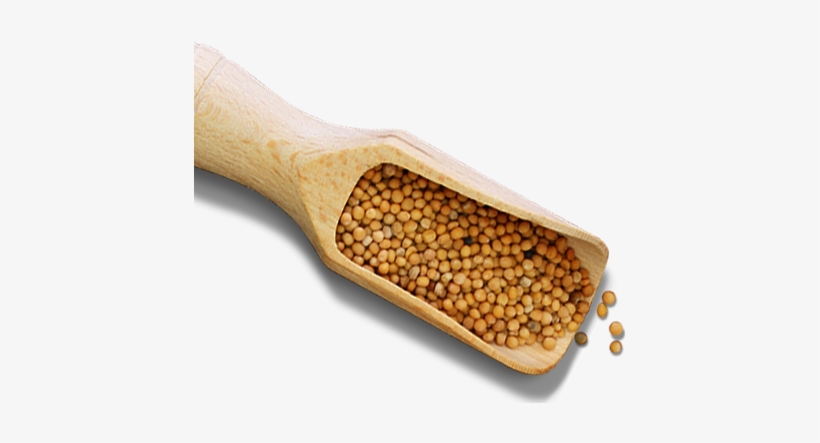 Plochman's Exclusively Uses - Mustard Seed Png, transparent png download