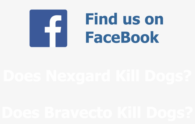 File A4 Back Transparent Background - Flash Disk Terbaru, transparent png download