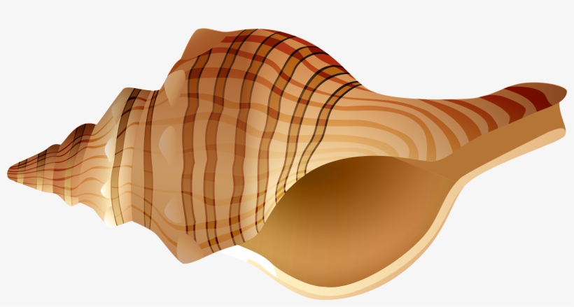 Rap Png, transparent png download