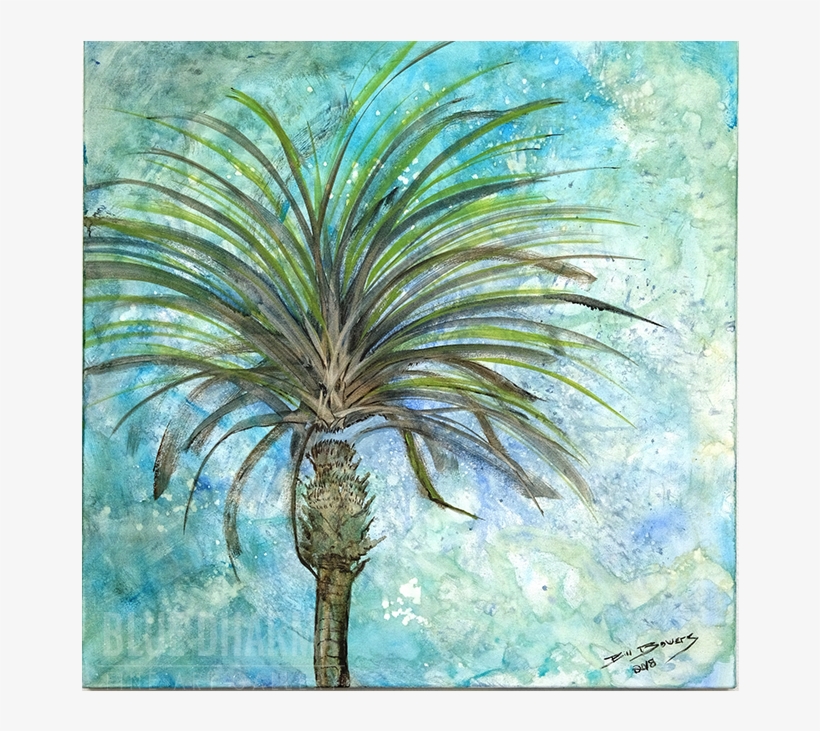 By - Sarasota, transparent png download