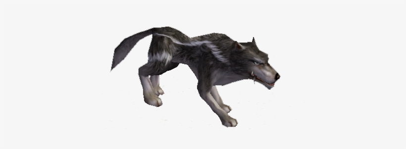 Lobo - Wolf, transparent png download
