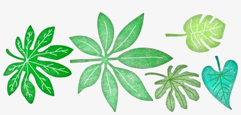 Tropical Leaves - Die Tropical Leaves, transparent png download