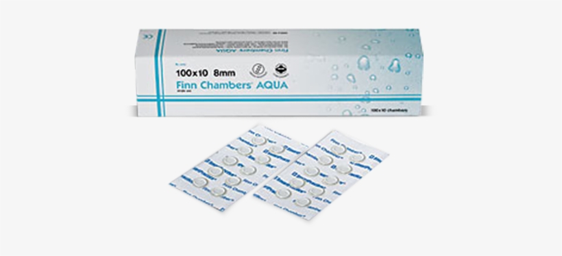 Finn Chambers Aqua - Paper, transparent png download