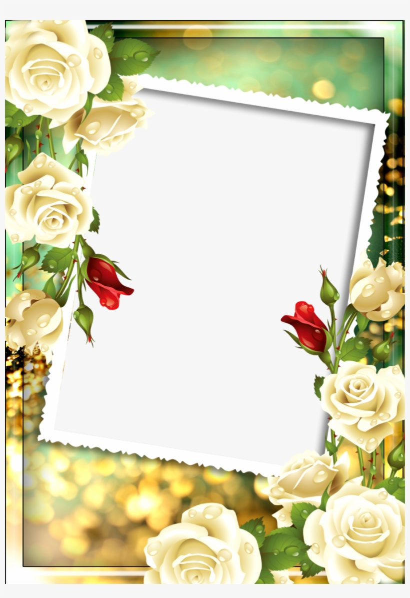 Png Floral Photo Frame, transparent png download