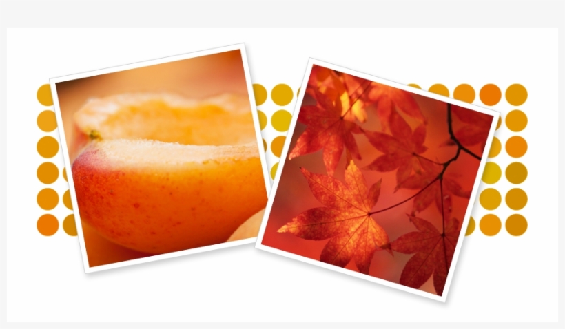 Orange Spray Paint - Paint, transparent png download