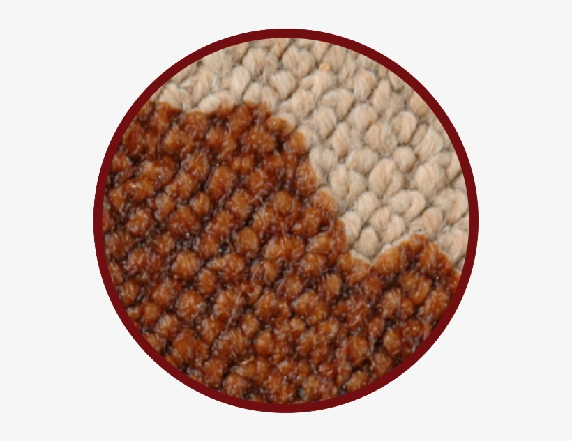 Removes Coffee Stains - Carpet, transparent png download