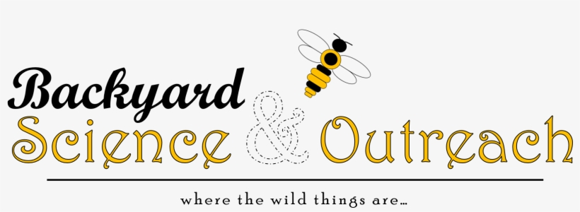 Honeybee, transparent png download