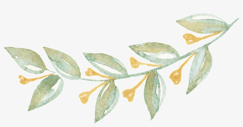 This Graphics Is Elegant Leaf Transparent Decorative - Portable Network Graphics, transparent png download