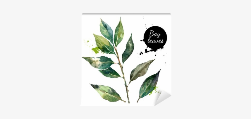 Kitchen Herbs And Spices Banner - Watercolor Painting, transparent png download