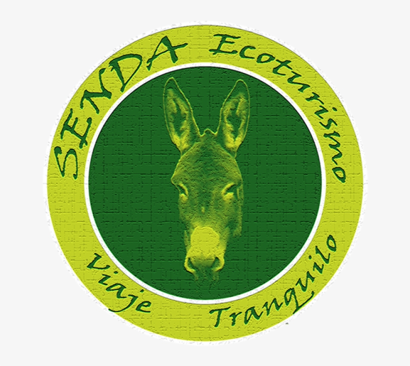 Live A Diferent Day In Liébana With The Best Company - Donkey Day, transparent png download