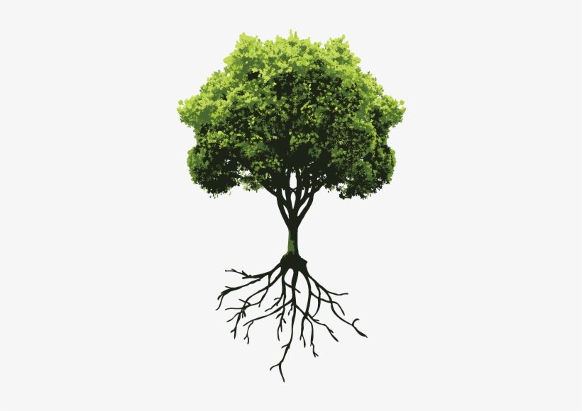 Transparent Tree With Roots Download Tree With Roots Png - Green Tree Beach Towel - HD Transparent ...
