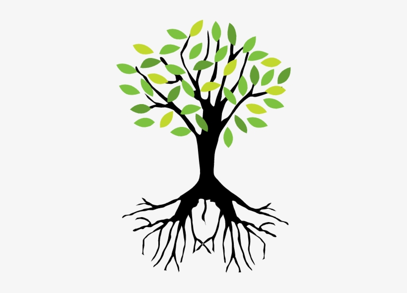 At Flynn's Tree Pros We Always Offer Free Estimates - Tree Roots Art Png, transparent png download