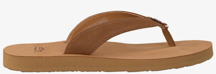 Omoda Uggs Slippers - Slipper, transparent png download