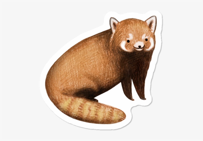 Men's - North American River Otter, transparent png download