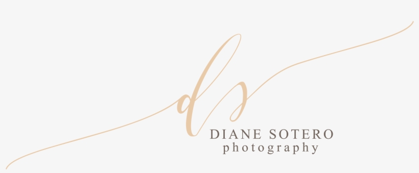 Diane Sotero - Calligraphy, transparent png download