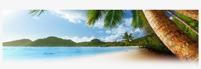 Background-nls - Island Background, transparent png download