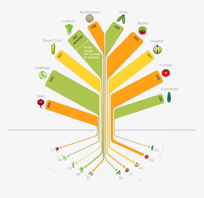 Food Variety Tree 754 - Crop Diversity In Organic Farming, transparent png download