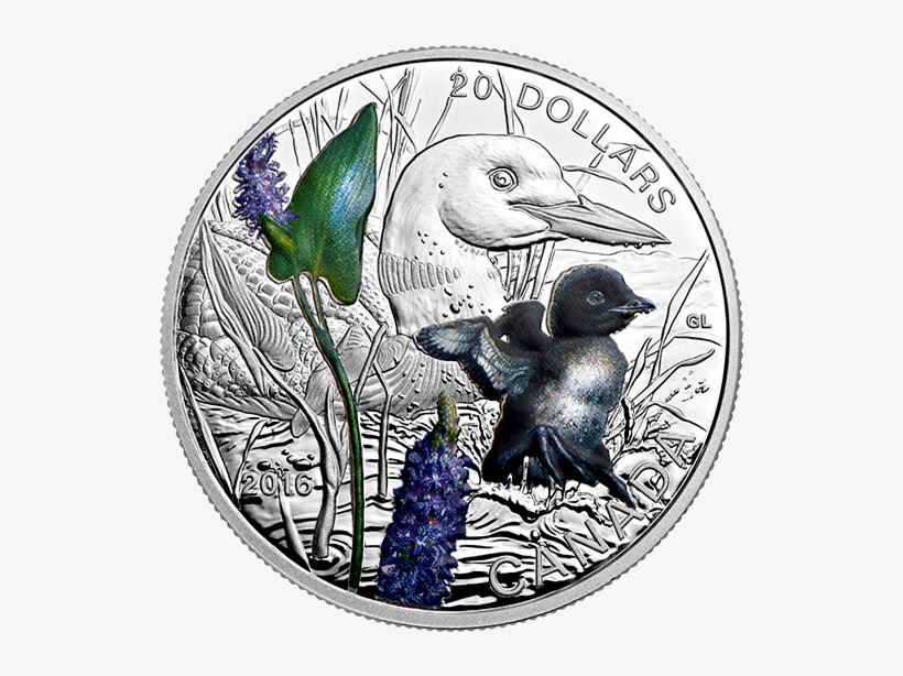 X151607 Rev 570 - Hummingbird, transparent png download