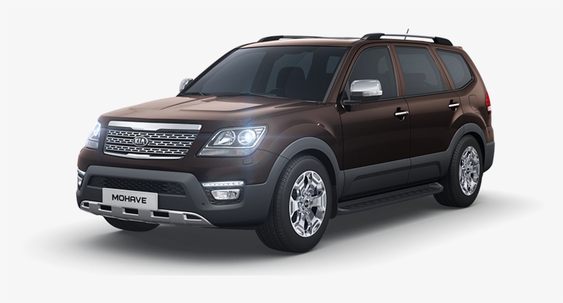 Dn9 L 0001 - Platinum Graphite Mohave, transparent png download