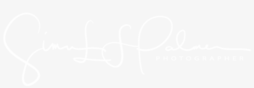 Photographer, Writer, Presenter, Cameraman - Toronto Film Festival Logo White, transparent png download