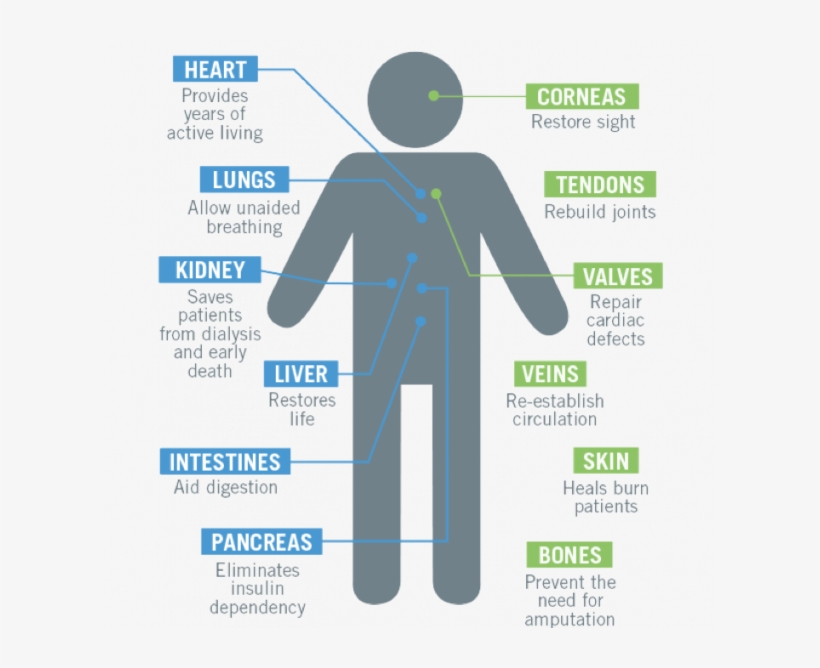 Altendorf, transparent png download