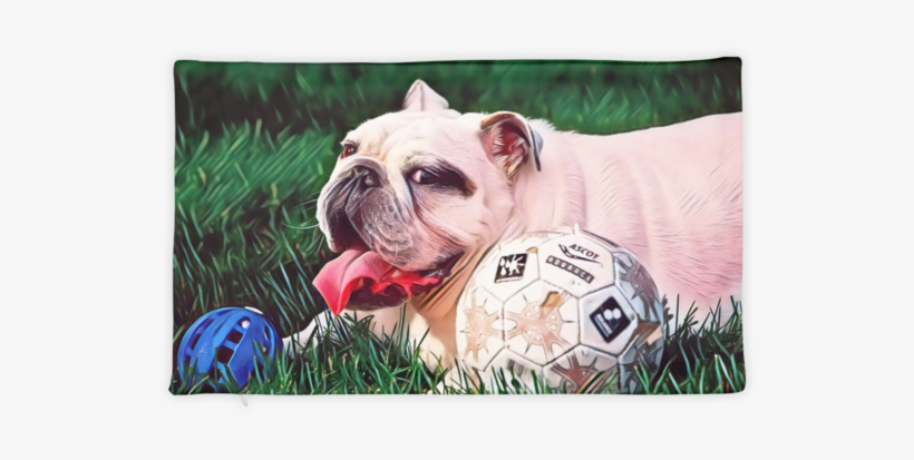 English Bulldog Pillow Case - Pug, transparent png download
