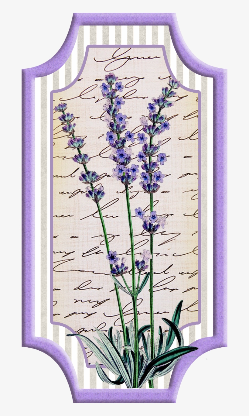Digi Stemple By Alicecreations - Lavender And Bee Drawing, transparent png download