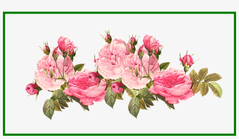 Rose Clipart Tumblr Great Free Clipart Silhouette Coloring - Pink Vintage Rose Png, transparent png download