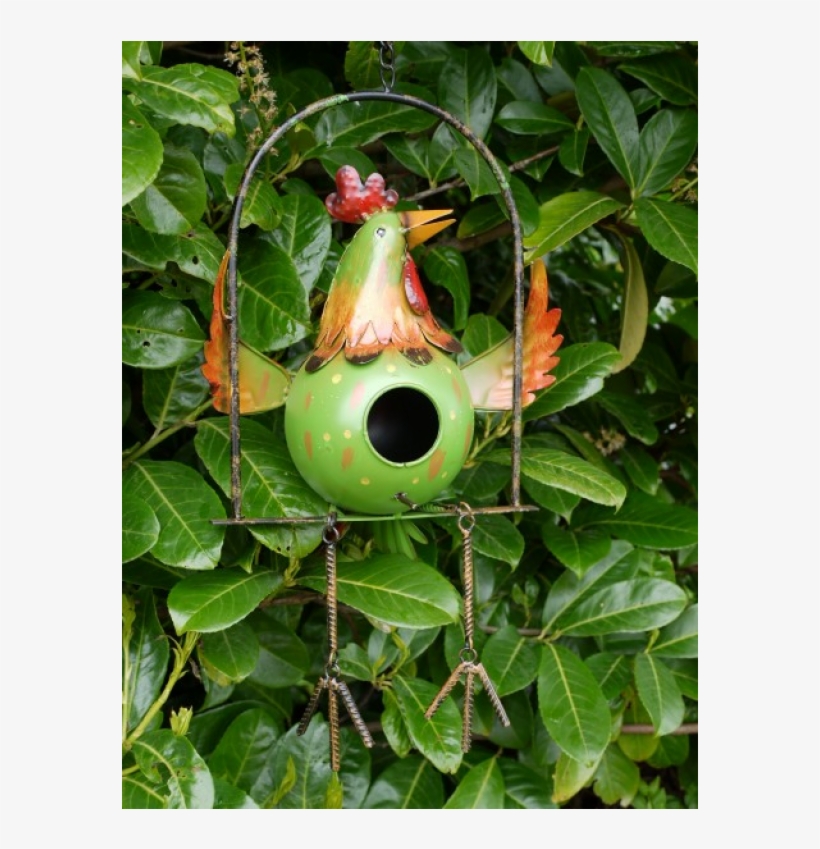 Songbird, transparent png download