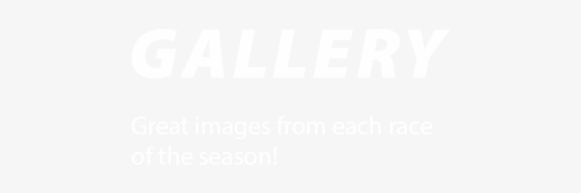 The 2019 Season Will Be The 15th Consecutive Season - Twitter White Bird Logo, transparent png download