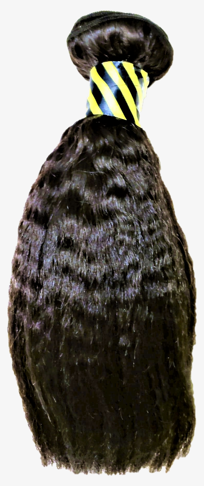 Exoticblowout - Lace Wig, transparent png download