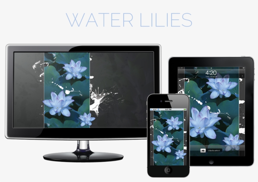 Water Lilies Hero - Led-backlit Lcd Display, transparent png download