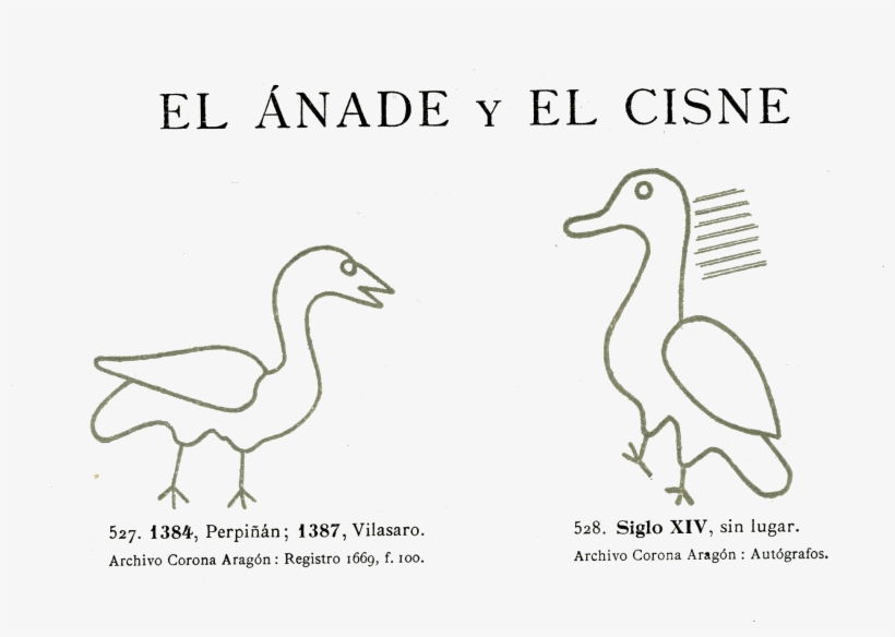La Vanguardia - Duck, transparent png download