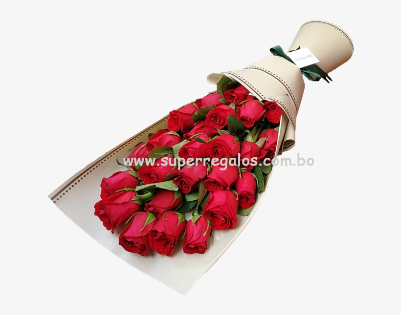 Aniversario - Garden Roses, transparent png download