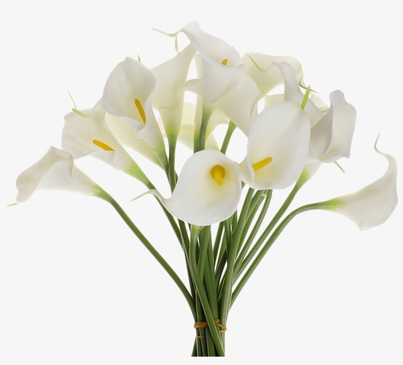 Tem Mais Flores Aqui No Blog, Veja - Calla Lilie, transparent png download