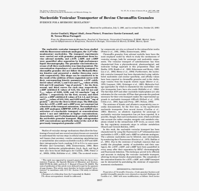 Nucleotide Vesicular Transporter Of Bovine Chromaffin - Untitled, Illustration 14, In The Book Foirades / Fizzles, transparent png download