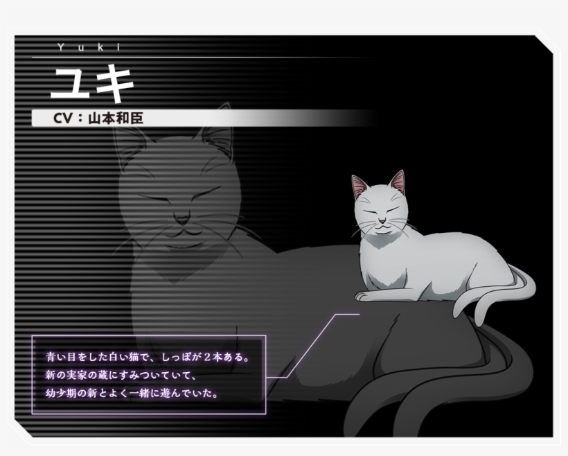 Download Yuki Image - Devon Rex, transparent png download