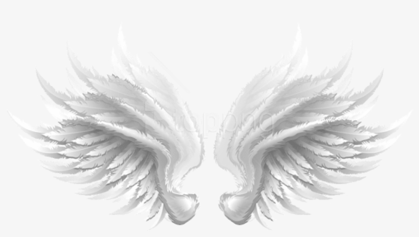 Free Png Download White Wings Transparent Clipart Png - White Wings, transparent png download