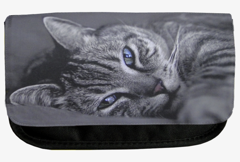 Ali, Cat Pencil Case - Tabby Cat, transparent png download
