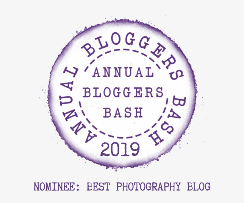 Nominated In The Annual Bloggers Bash Awards 2019, - Burger Shop, transparent png download
