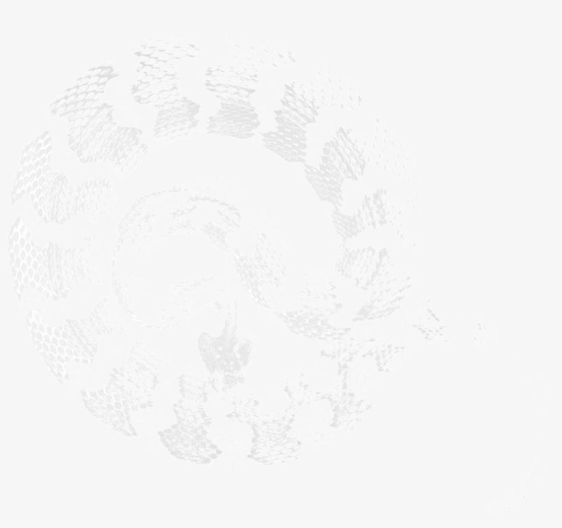 Hgf Transparent Snake Cropped - Circle, transparent png download