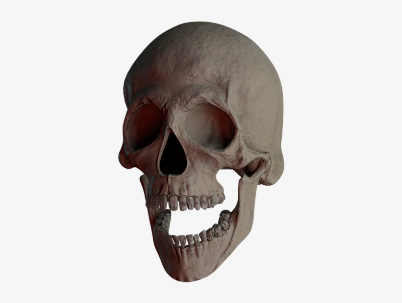 Skull, Skull And Crossbones, Bone, Creepy, Weird, Death - Skull, transparent png download